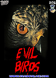 Evil Birds